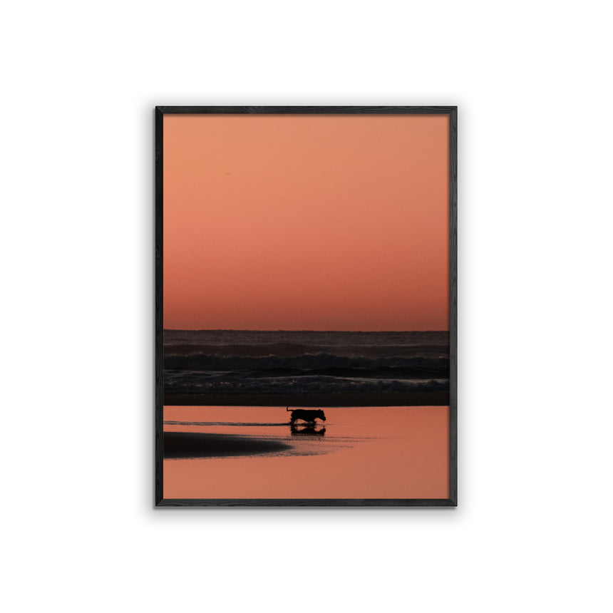 Fine Art Photo Print // Shepherds Delight