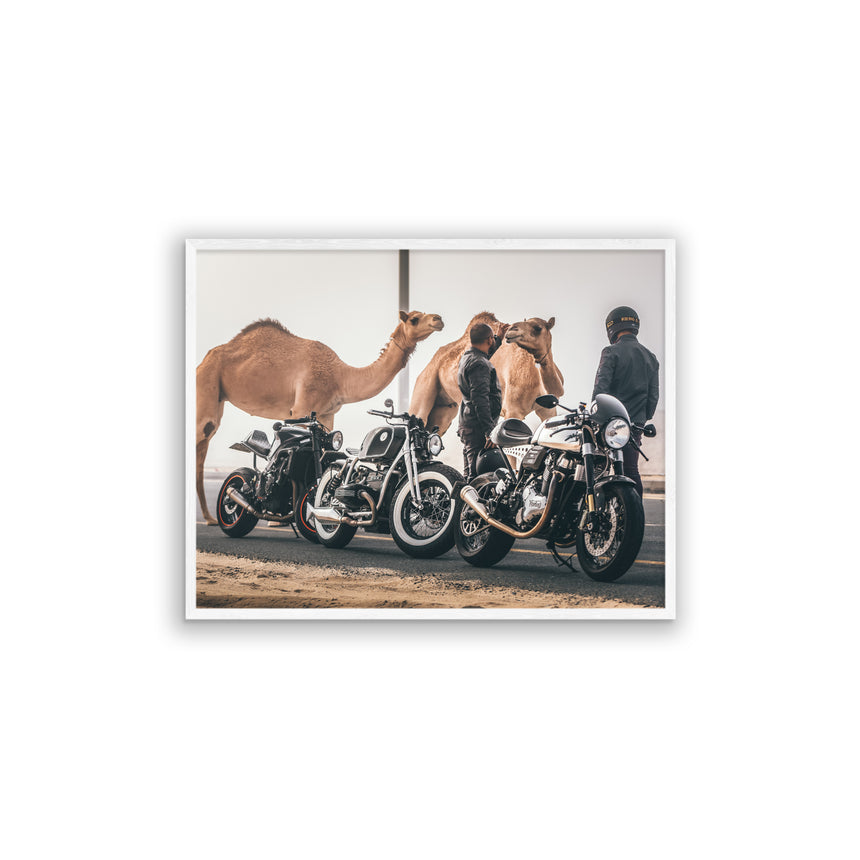 Fine Art Photo Print // Camel Racer Crew