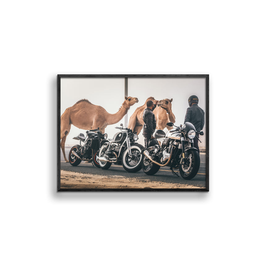 Fine Art Photo Print // Camel Racer Crew