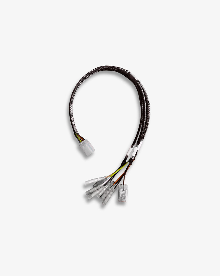 Plug & Play Rear Wiring Kit For Triumph 2016+