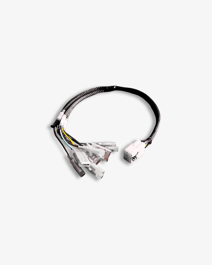 Plug & Play Rear Wiring Kit For Triumph 2016+