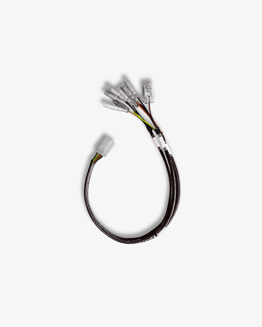 Plug & Play Rear Wiring Kit For Triumph 2016+