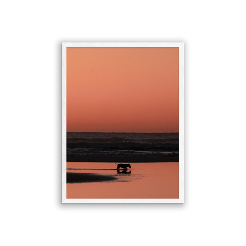 Fine Art Photo Print // Shepherds Delight