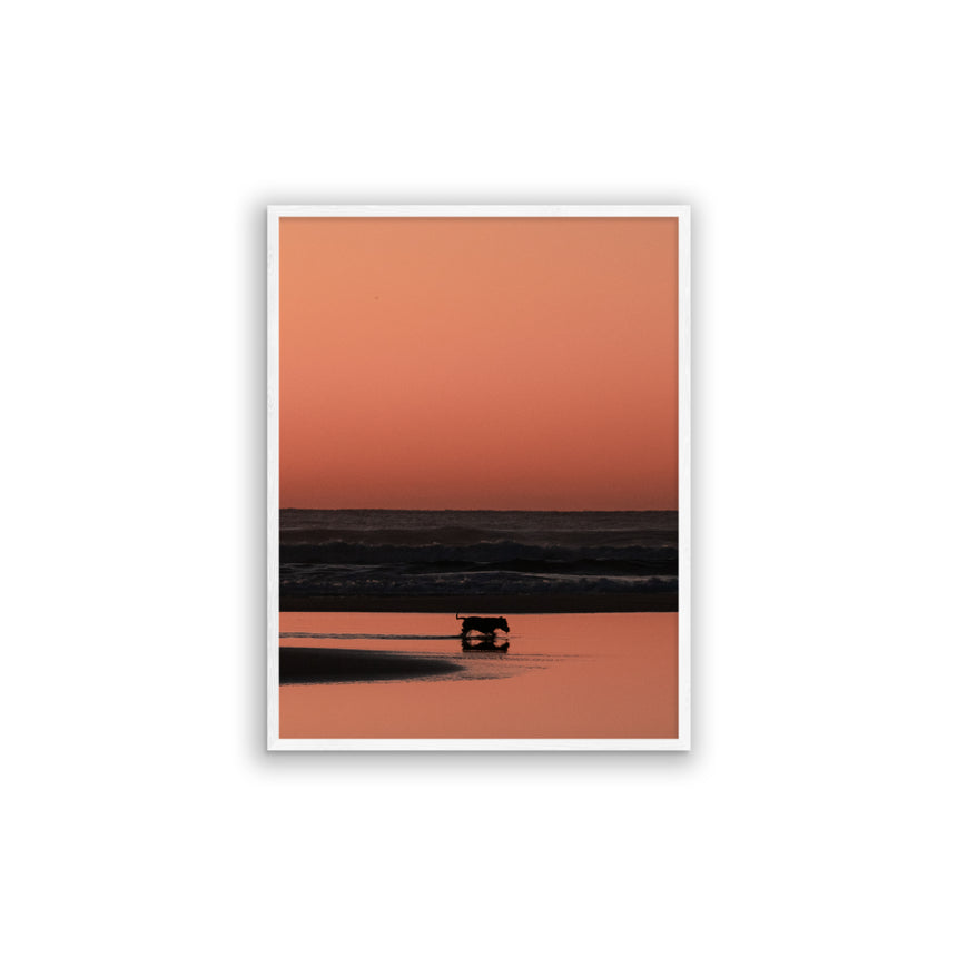 Fine Art Photo Print // Shepherds Delight