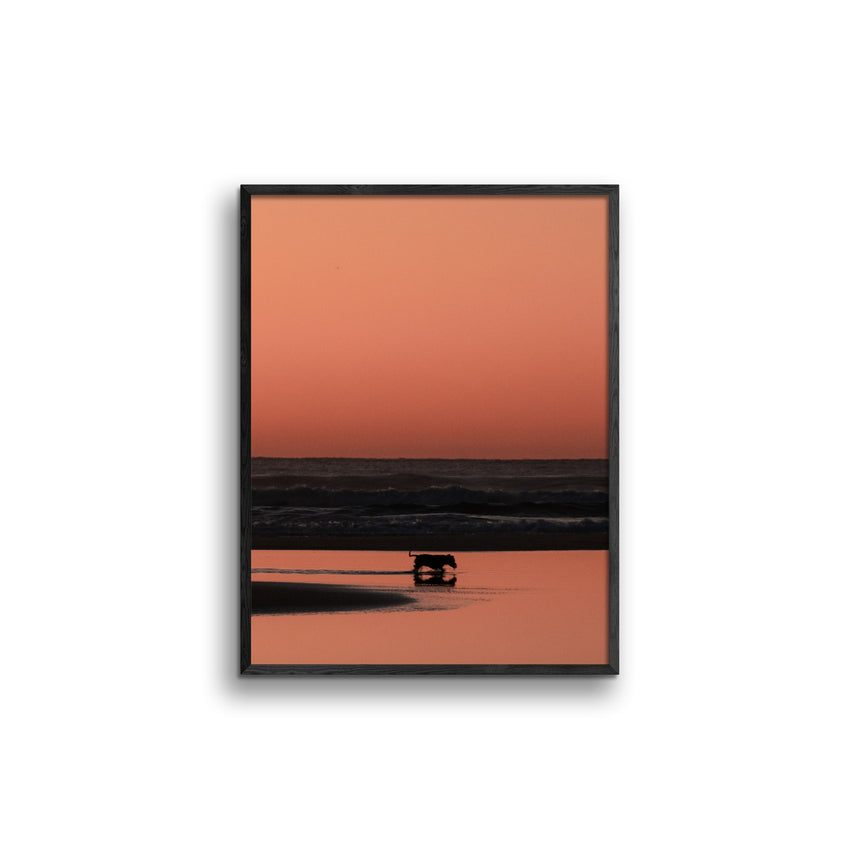 Fine Art Photo Print // Shepherds Delight