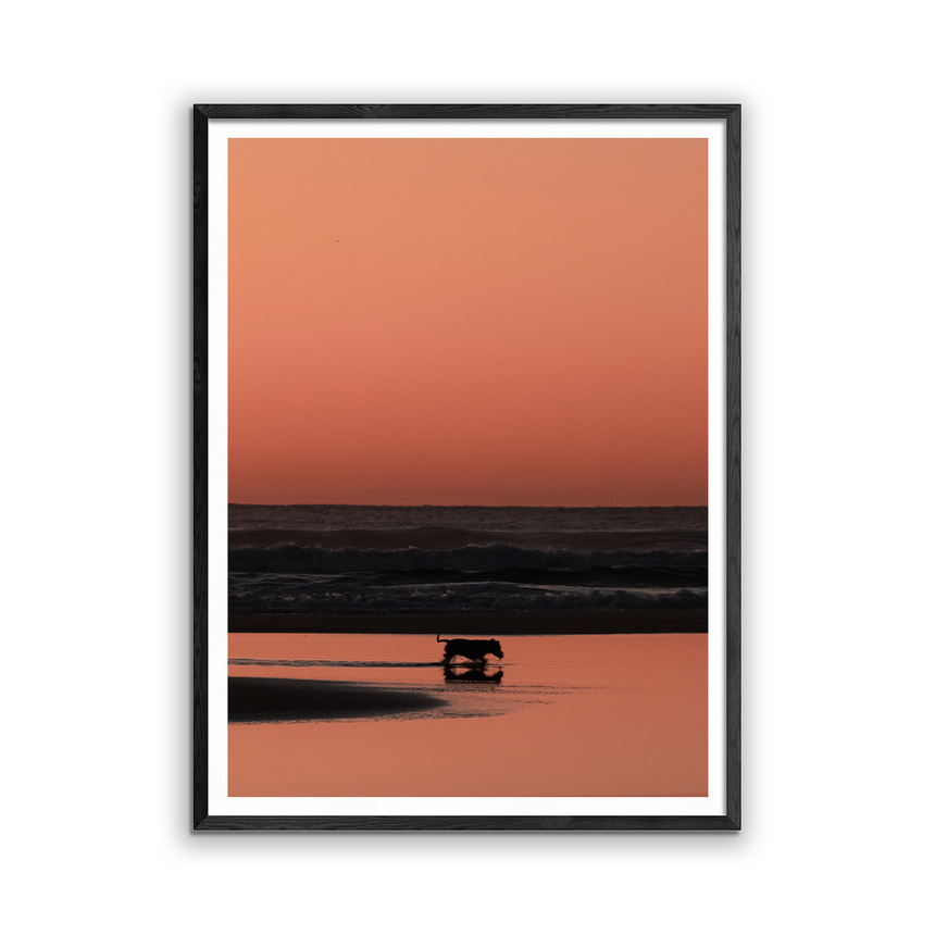 Fine Art Photo Print // Shepherds Delight