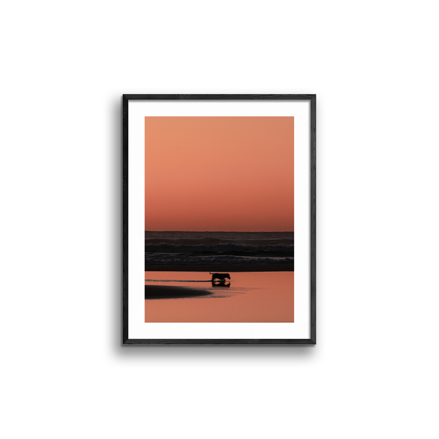 Fine Art Photo Print // Shepherds Delight