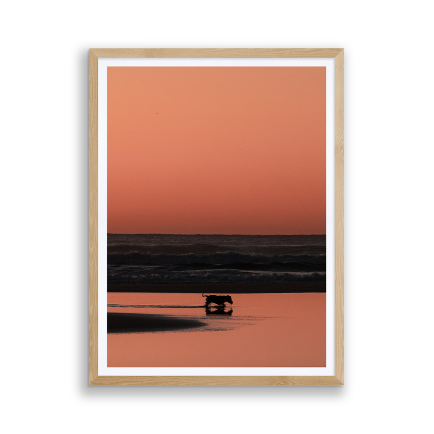 Fine Art Photo Print // Shepherds Delight