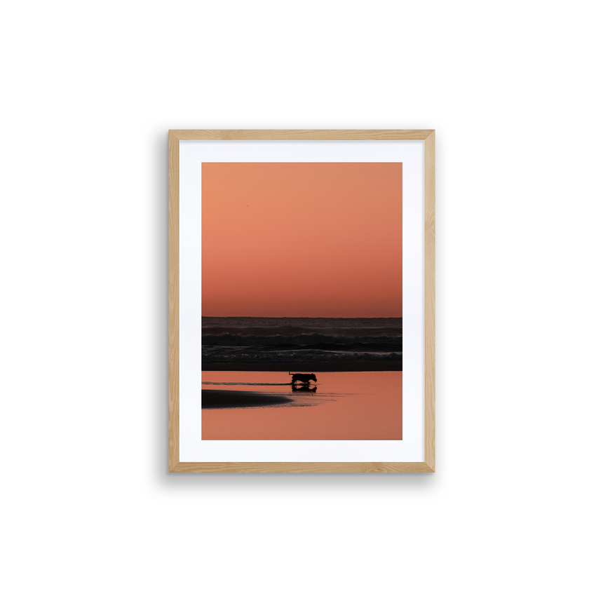 Fine Art Photo Print // Shepherds Delight